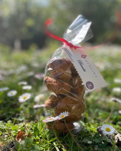 Biscuits au chocolat, noisettes/noix