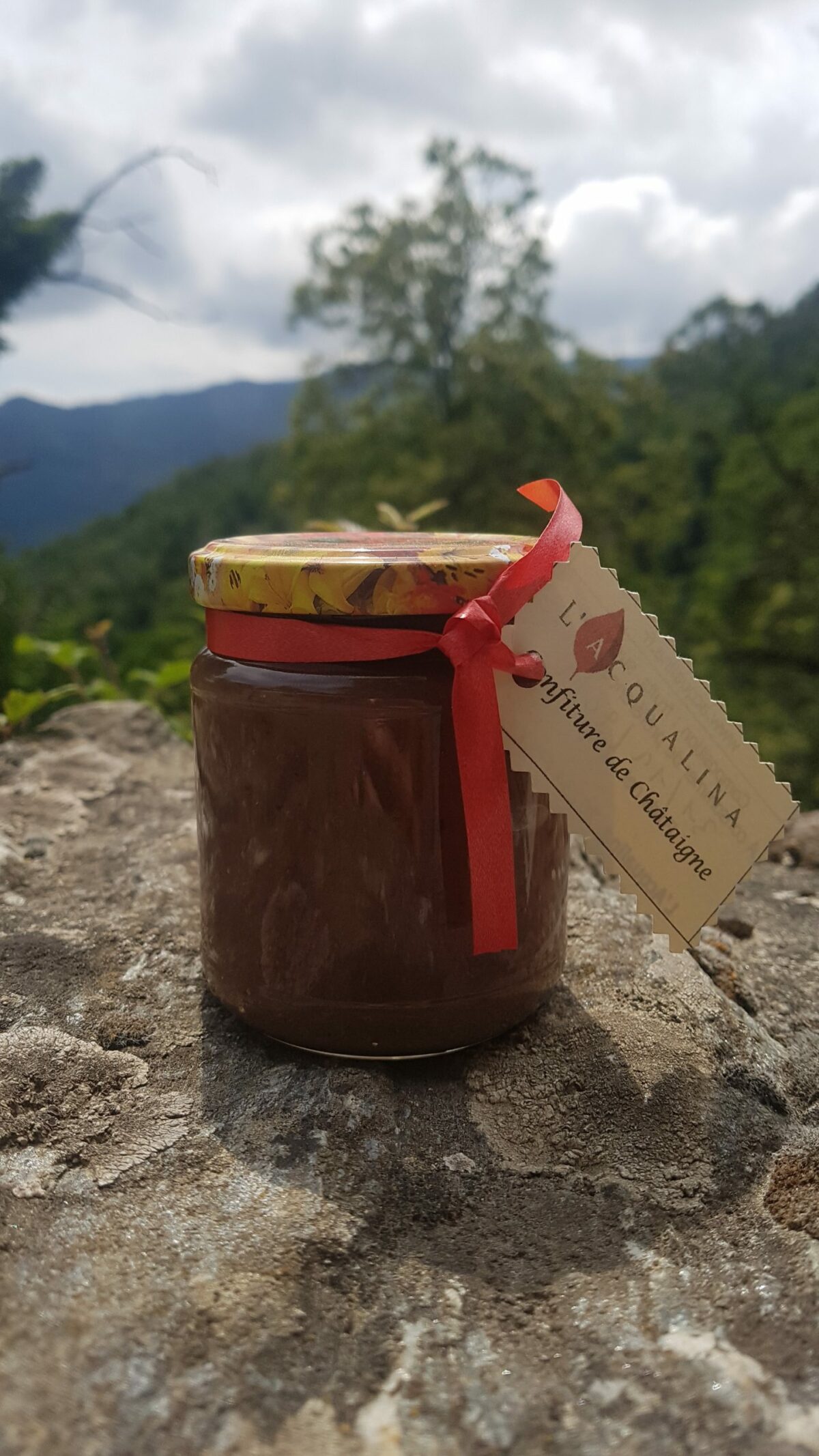 Confiture de châtaigne