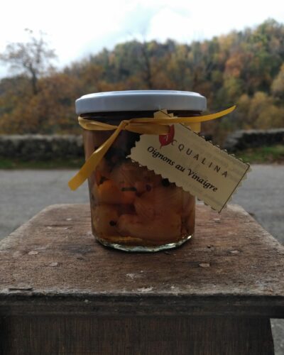 Oignons au vinaigre