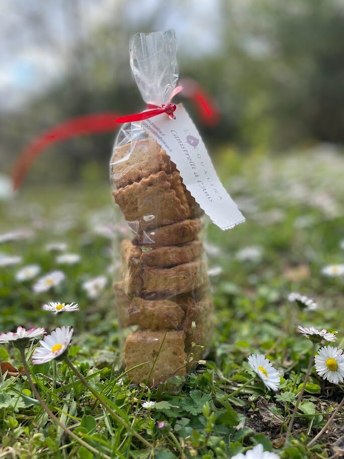 Canistrelli à l'Anis