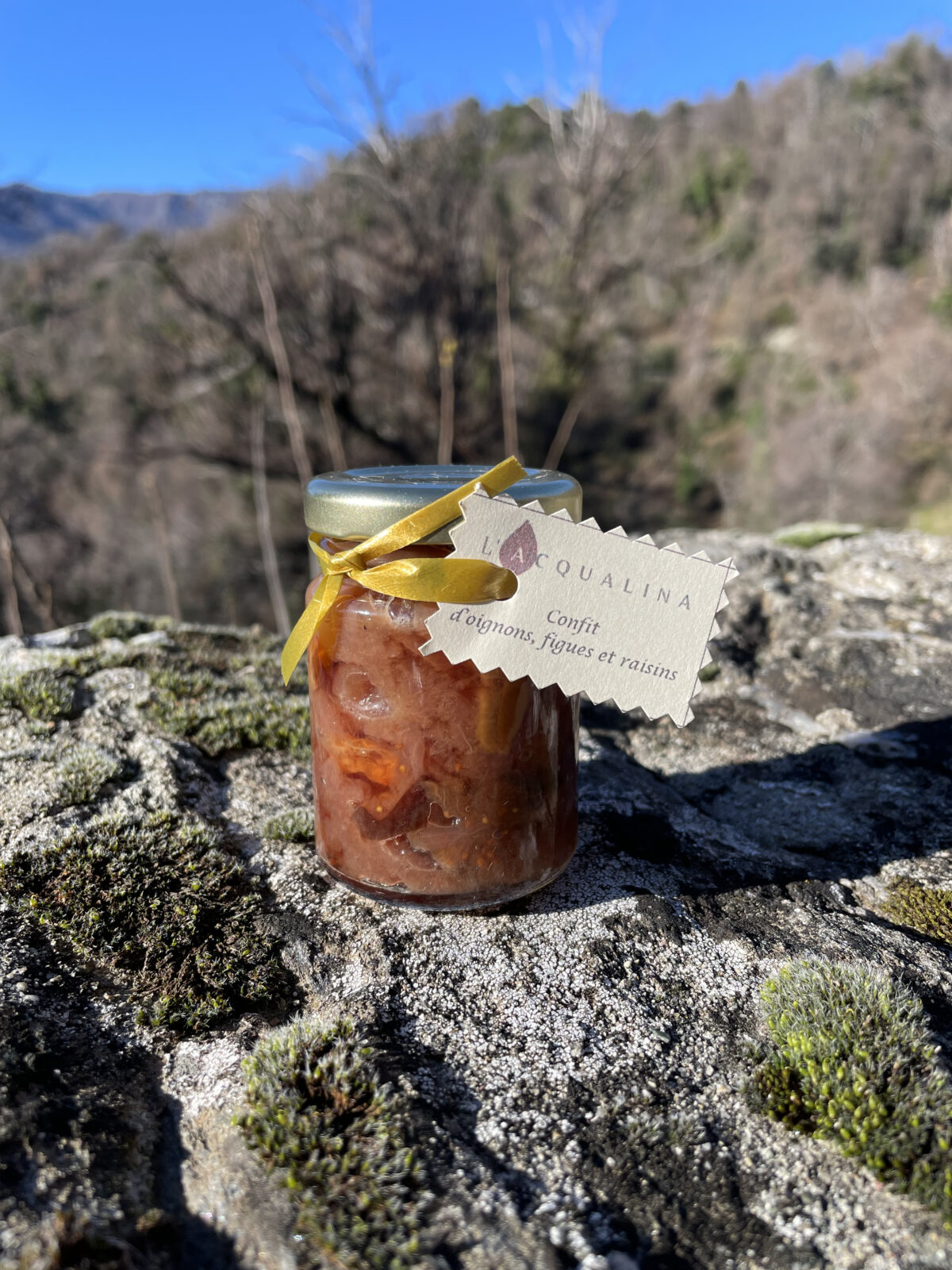 Confit d'oignons, figues et raisins