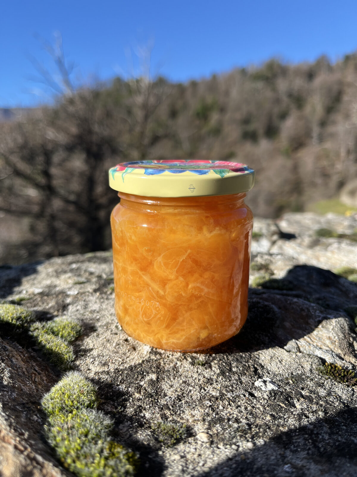 Confiture de Clémentines