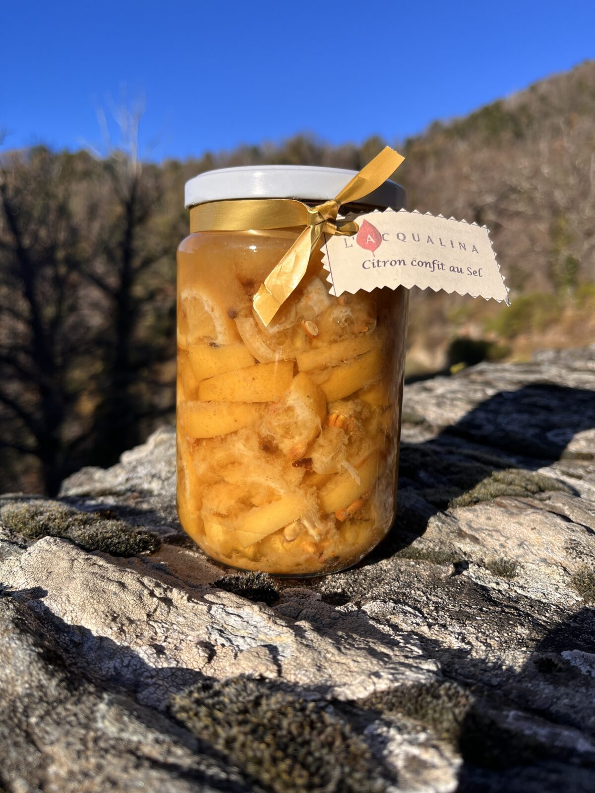 Citron confit au sel (grand format)